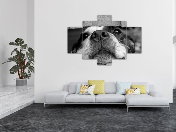 Slika psa (150x105 cm)