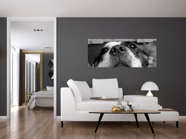 Slika psa (120x50 cm)