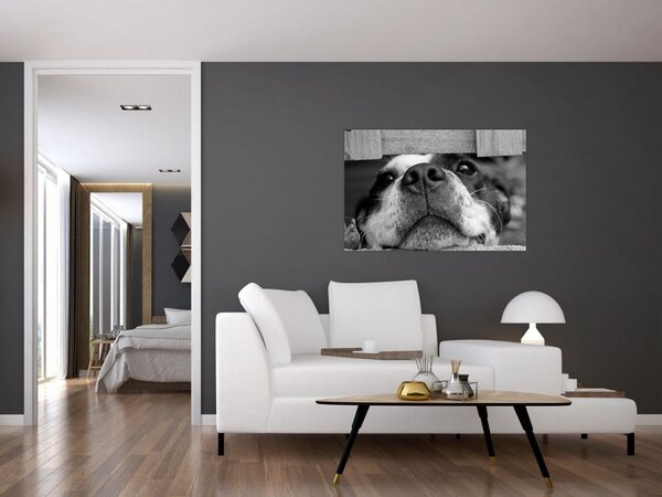 Slika psa (90x60 cm)