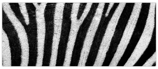 Slika kože zebre (120x50 cm)