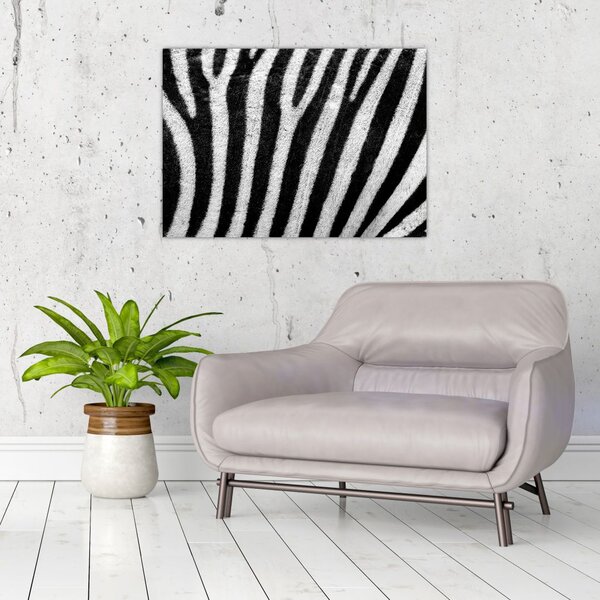 Slika kože zebre (70x50 cm)