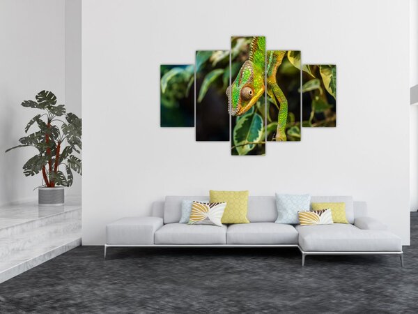 Slika kameleona (150x105 cm)
