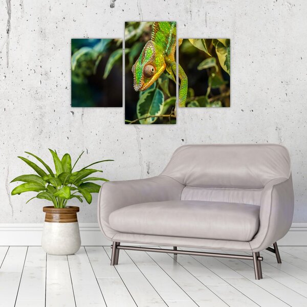 Slika kameleona (90x60 cm)