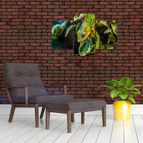 Slika kameleona (90x60 cm)