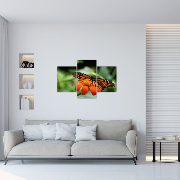 Slika leptira na cvijetu (90x60 cm)