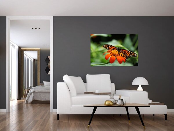 Slika leptira na cvijetu (90x60 cm)