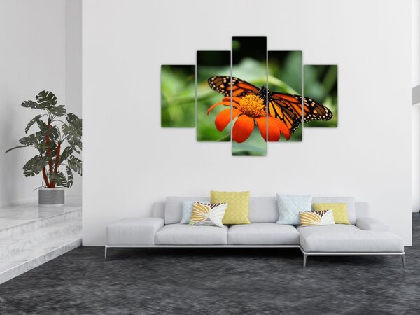 Slika leptira na cvijetu (150x105 cm)