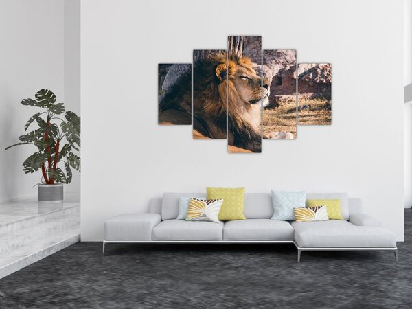 Slika ležećeg lava (150x105 cm)
