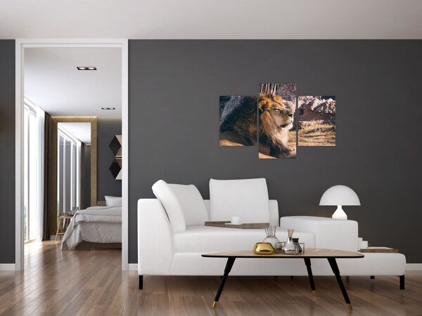 Slika ležećeg lava (90x60 cm)
