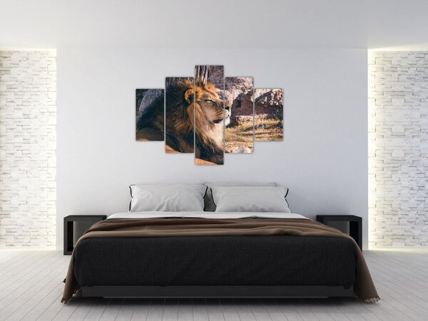 Slika ležećeg lava (150x105 cm)