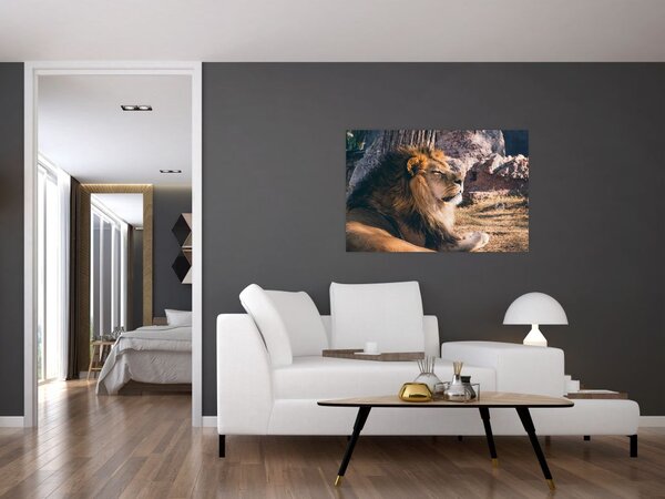 Slika ležećeg lava (90x60 cm)
