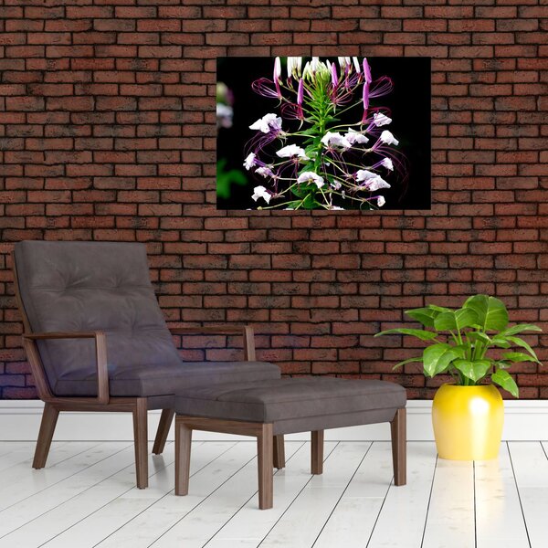 Slika cvijeta (70x50 cm)