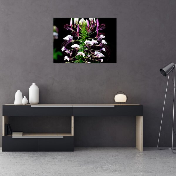 Slika cvijeta (70x50 cm)