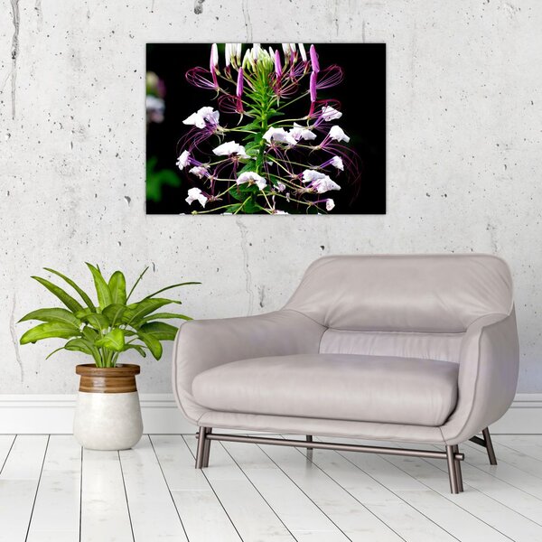 Slika cvijeta (70x50 cm)