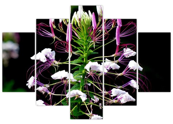 Slika cvijeta (150x105 cm)