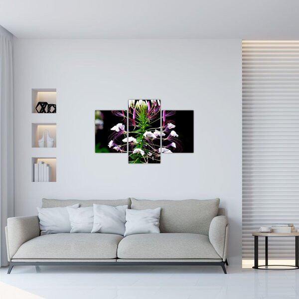 Slika cvijeta (90x60 cm)