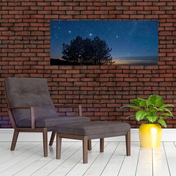 Slika drveća noću (120x50 cm)
