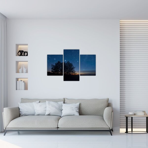 Slika drveća noću (90x60 cm)