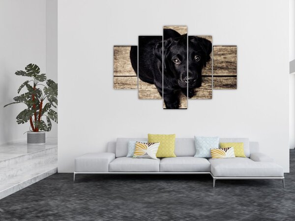 Slika crnog psića (150x105 cm)