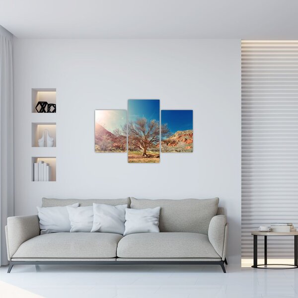 Slika stabla u pustinji (90x60 cm)