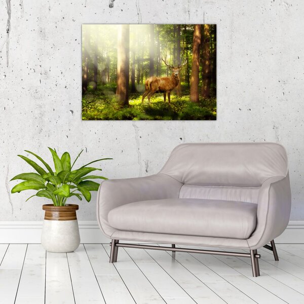 Slika jelena u šumi (70x50 cm)