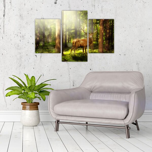 Slika jelena u šumi (90x60 cm)