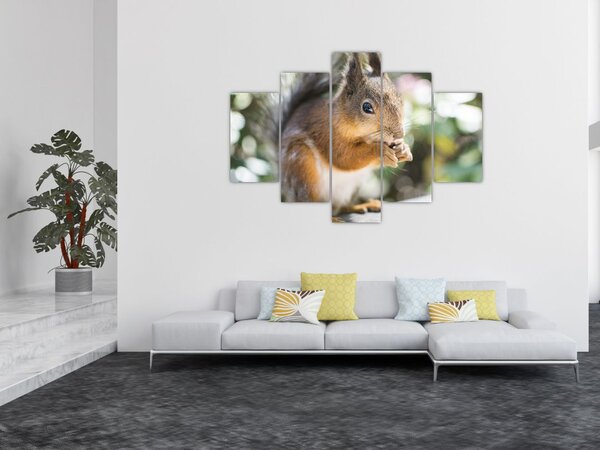 Slika vjeverice (150x105 cm)