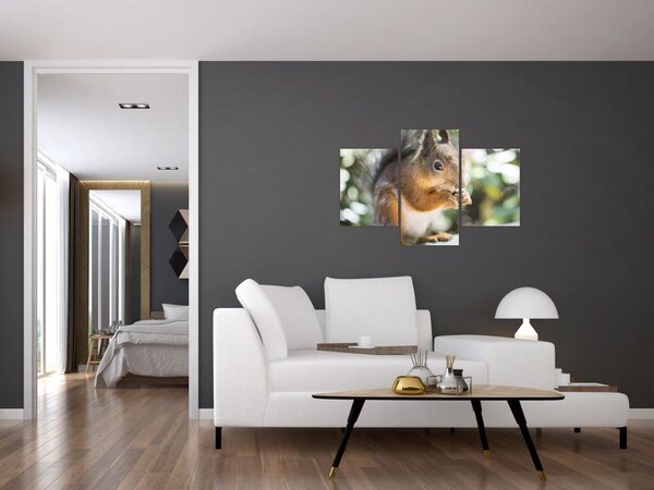 Slika vjeverice (90x60 cm)