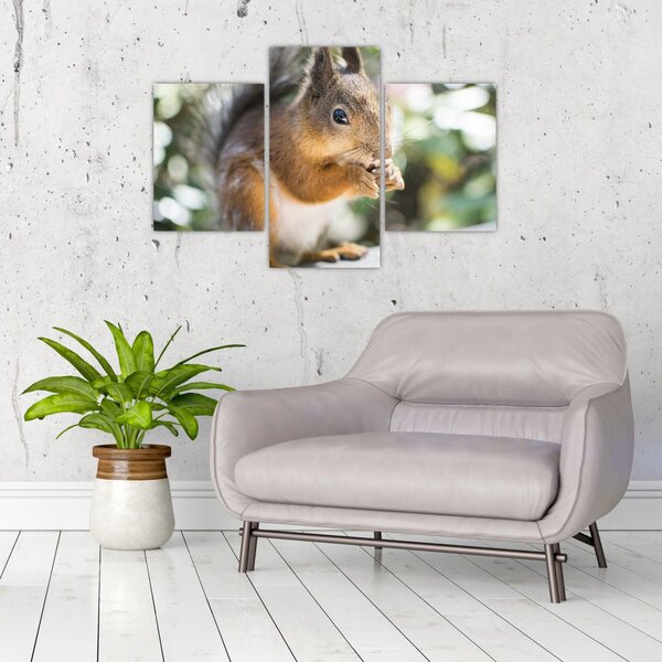 Slika vjeverice (90x60 cm)
