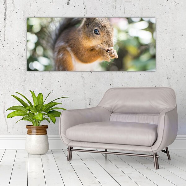 Slika vjeverice (120x50 cm)