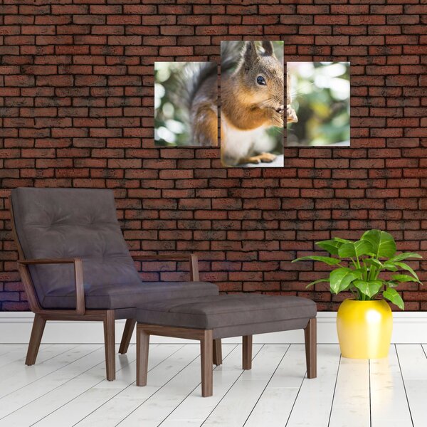 Slika vjeverice (90x60 cm)
