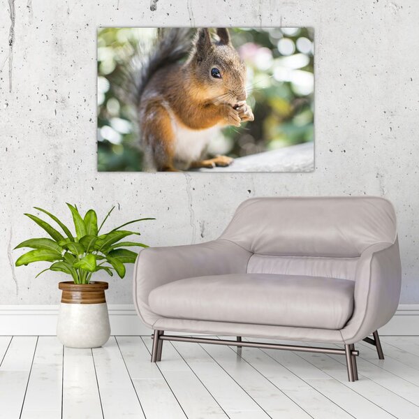 Slika vjeverice (90x60 cm)