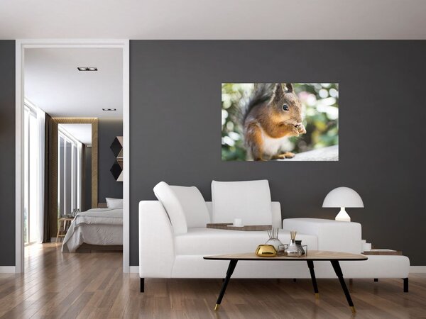 Slika vjeverice (90x60 cm)