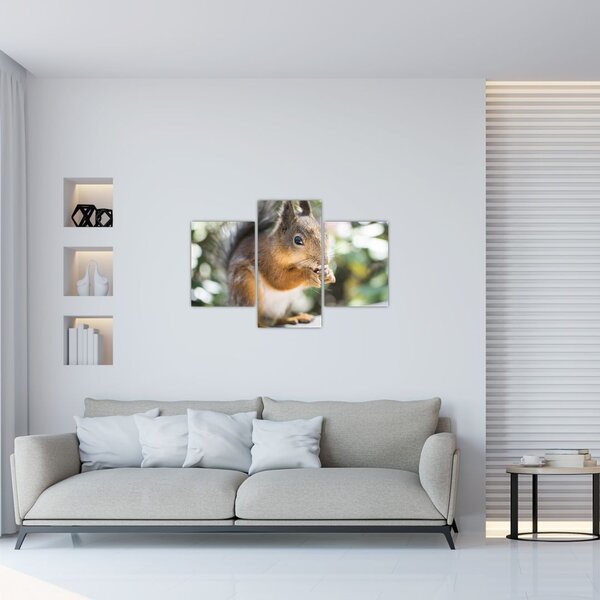Slika vjeverice (90x60 cm)