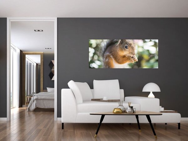 Slika vjeverice (120x50 cm)