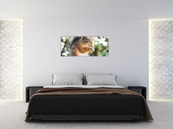 Slika vjeverice (120x50 cm)