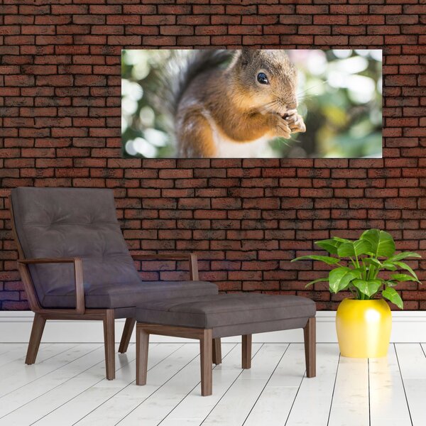 Slika vjeverice (120x50 cm)