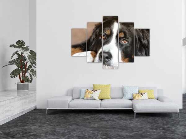 Slika psa (150x105 cm)