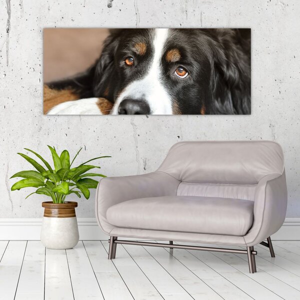 Slika psa (120x50 cm)