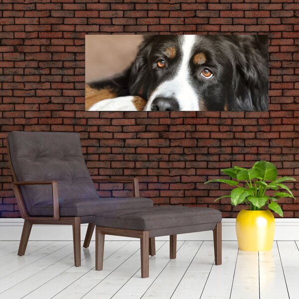 Slika psa (120x50 cm)
