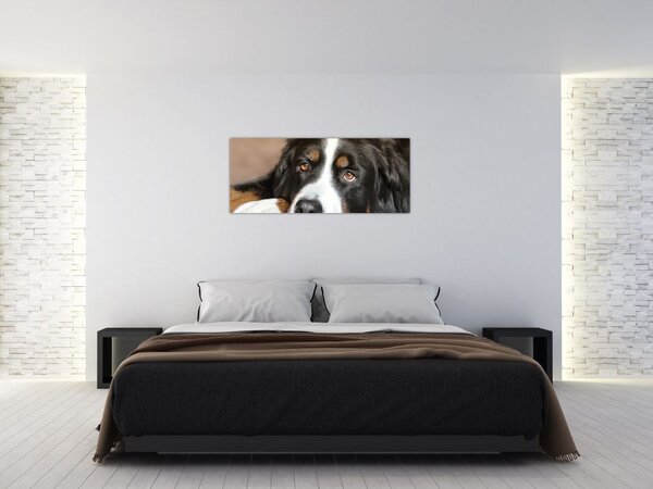 Slika psa (120x50 cm)
