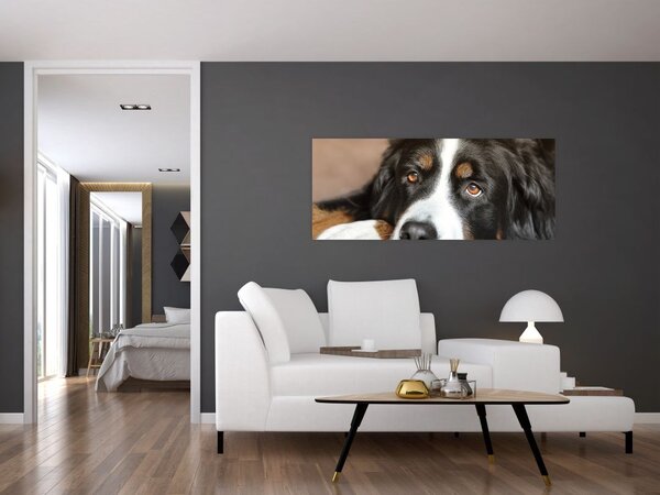 Slika psa (120x50 cm)