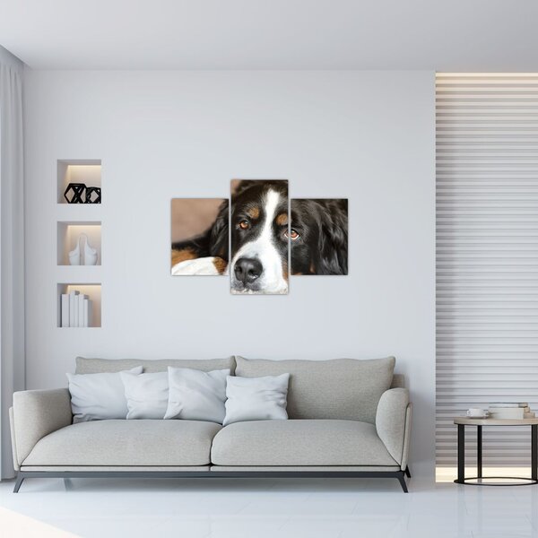 Slika psa (90x60 cm)