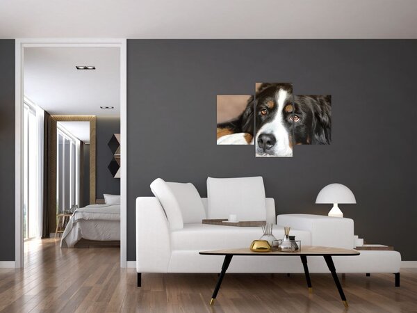 Slika psa (90x60 cm)