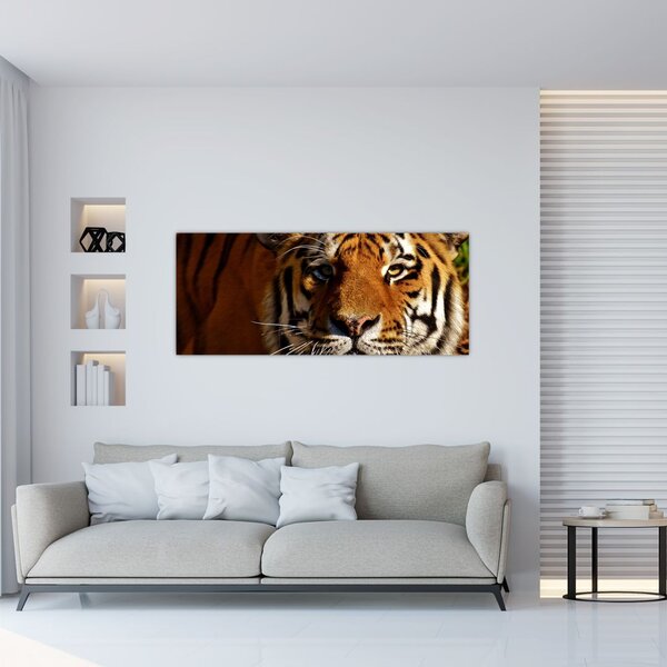 Slika tigra (120x50 cm)