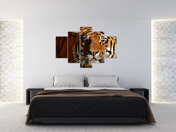 Slika tigra (150x105 cm)