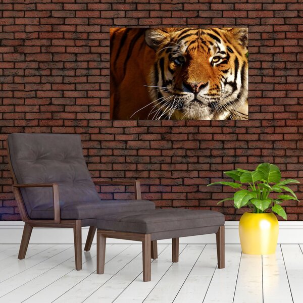 Slika tigra (90x60 cm)