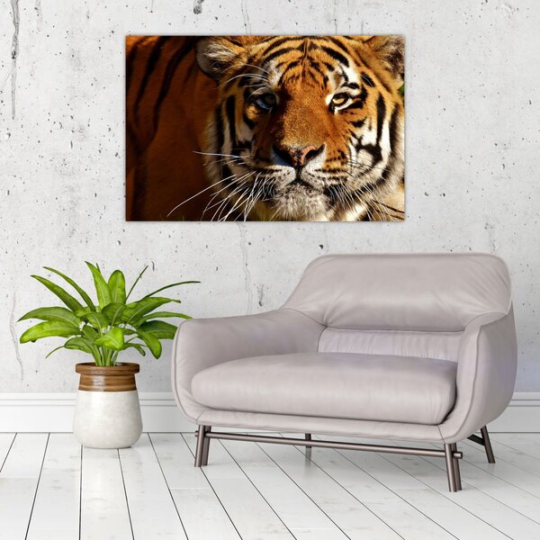 Slika tigra (90x60 cm)