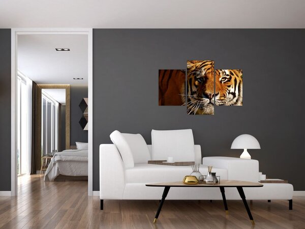 Slika tigra (90x60 cm)
