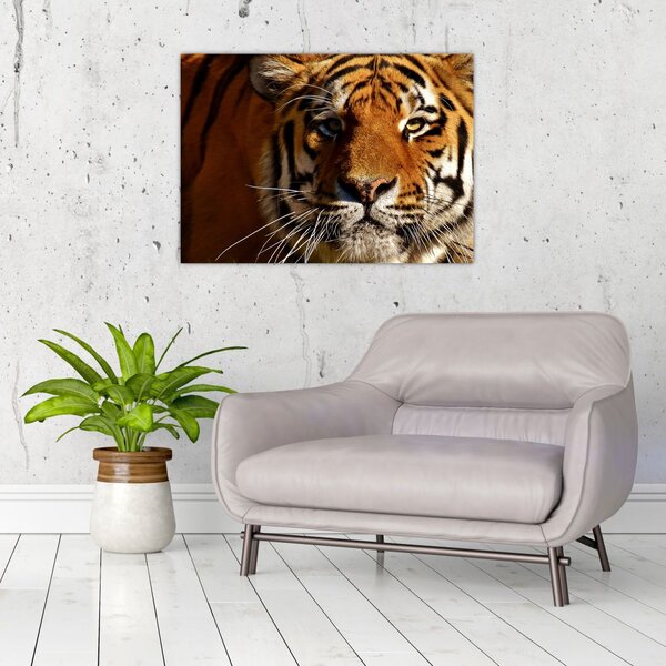 Slika tigra (70x50 cm)
